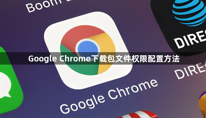 Google Chrome下载包文件权限配置方法1